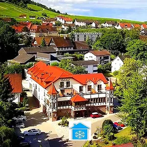 Отель Rebstock
